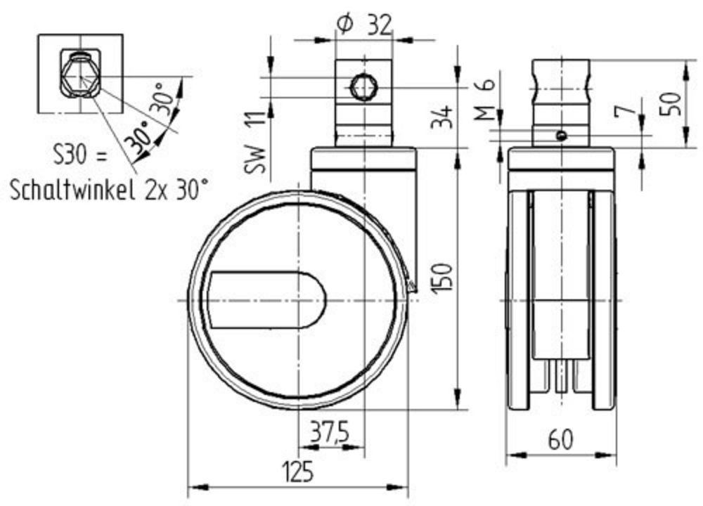 Integral twin