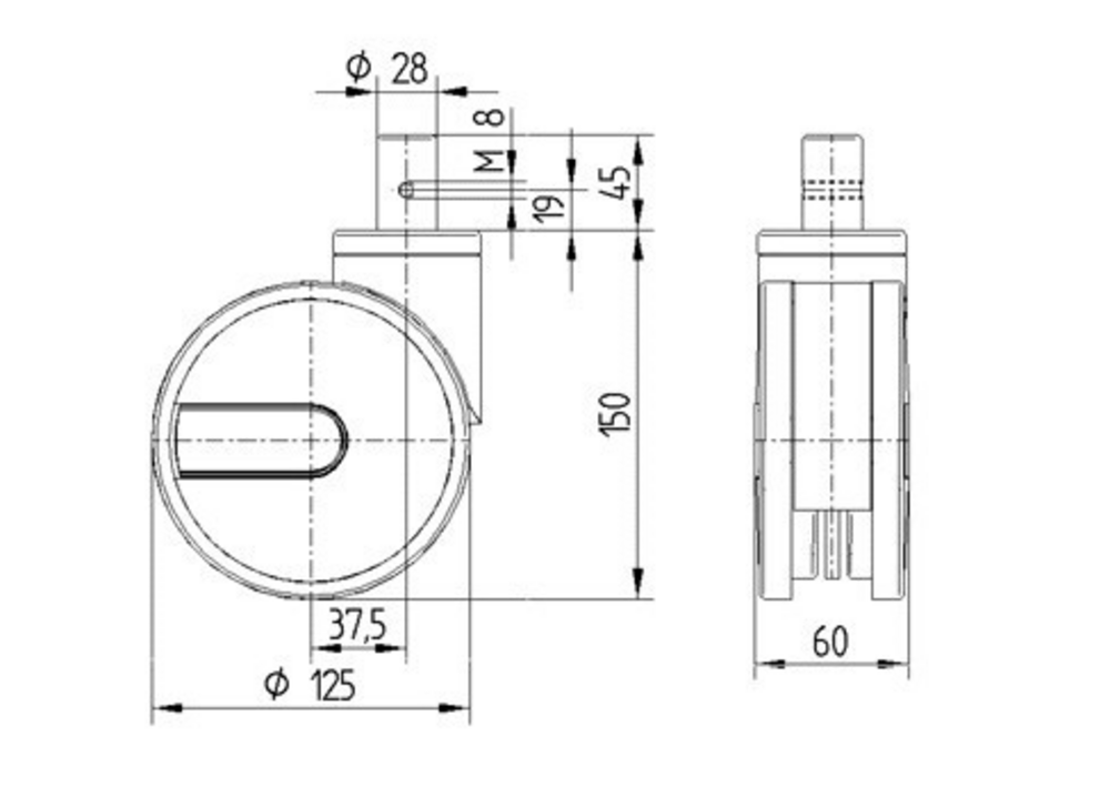 Integral twin